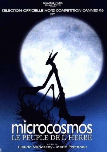 CINE7 - MICROCOSMOS